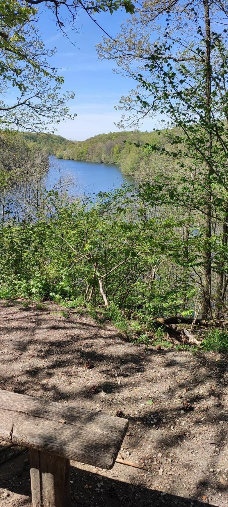 Etang de la Minière - Saint-Cyr-l'École
