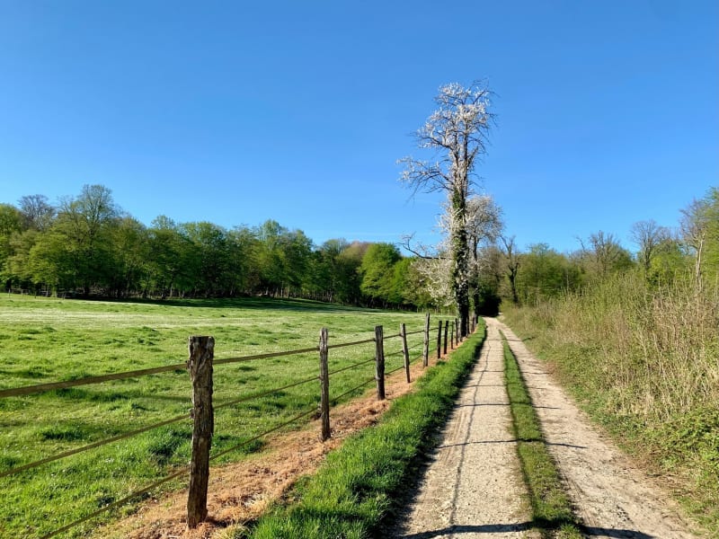 En Gravel entre Belvédère de Tannois et forêt du Haut-Juré - Longeville-en-Barrois