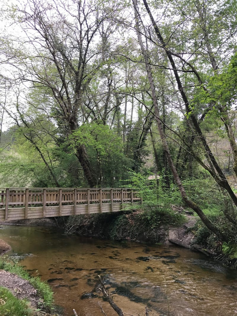 Petit tour du Graoux - Belin-Béliet