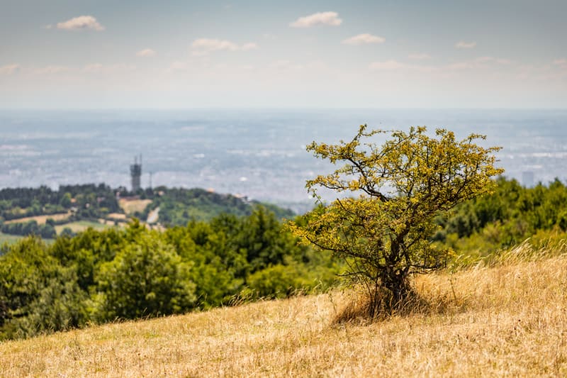 Le Mont Verdun et Croix de Presles à vélo - Saint-Didier-au-Mont-d'Or