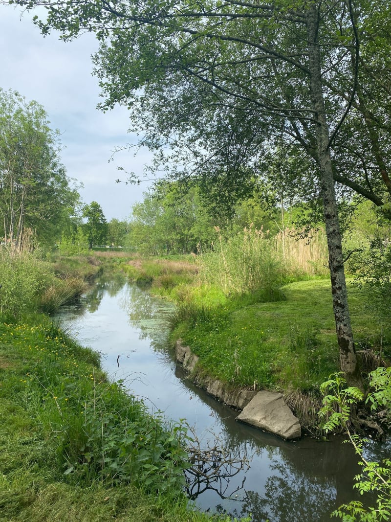 Petite balade au sein du Parc Rivoli - La-Roche-sur-Yon