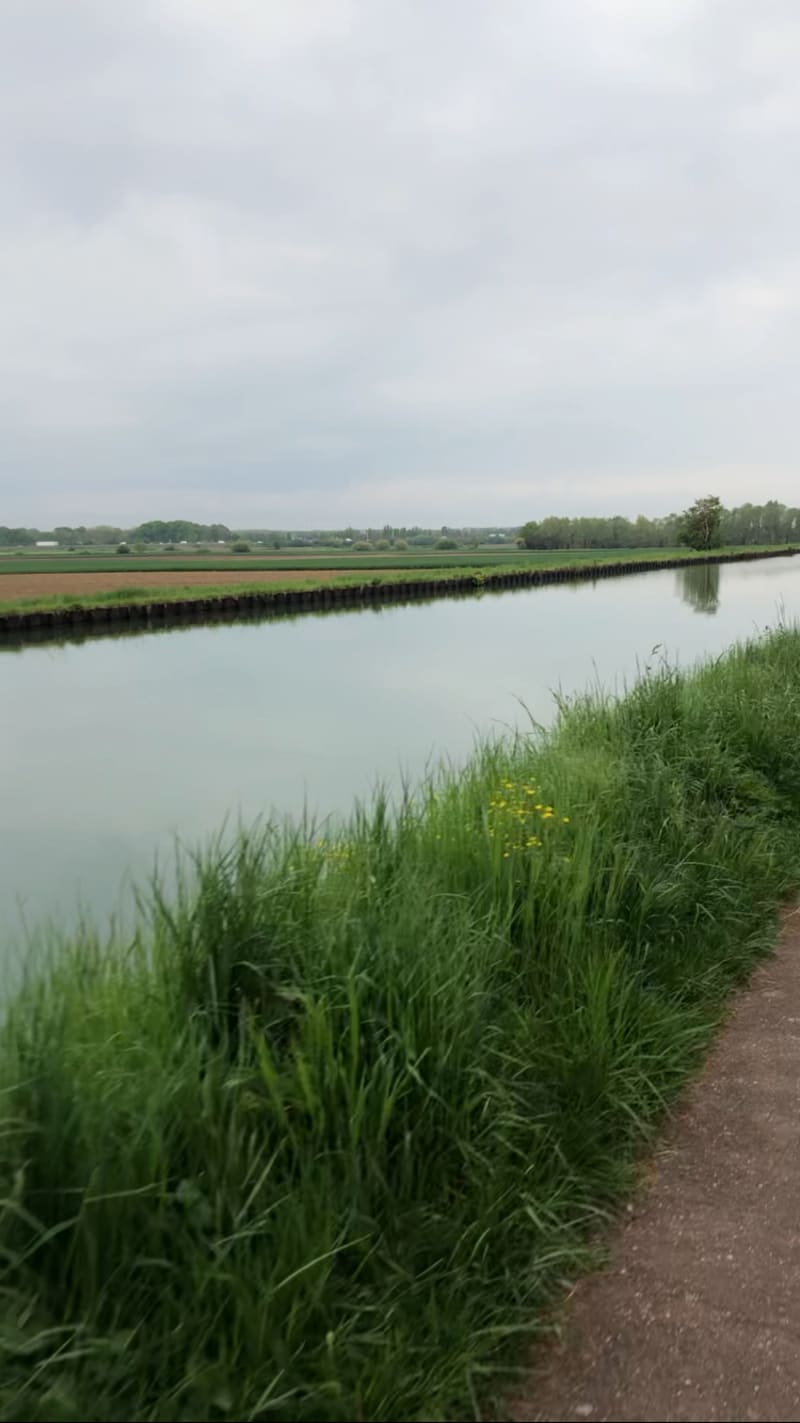 Vélo au bord du canal - Brumath