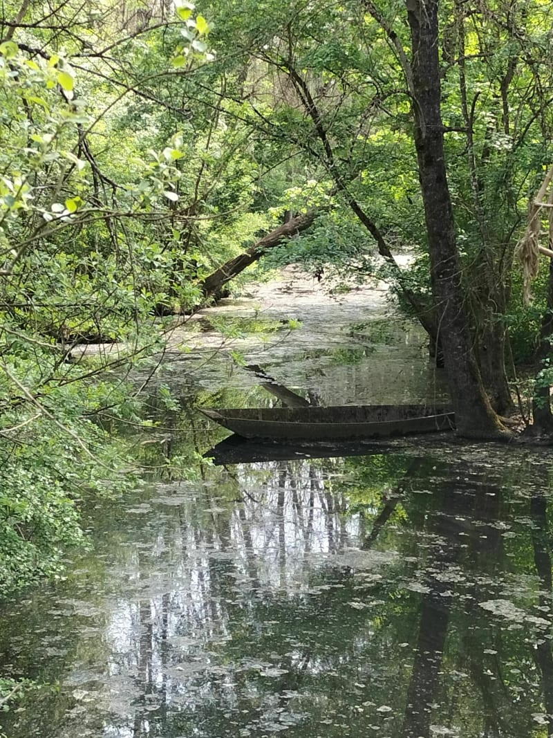 Les gardiens du marais. Geocache de Terra Aventura. - Saint-Georges-de-Rex