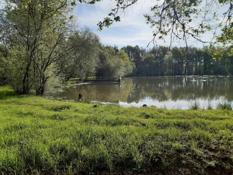 Randonnée à l'Etang de Champ le Roi depuis Decathlon - Romorantin-Lanthenay
