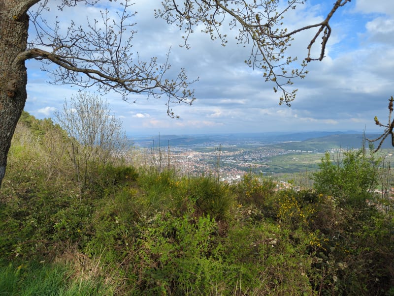 Ascension aérienne au Puy de Gravenoire - Royat