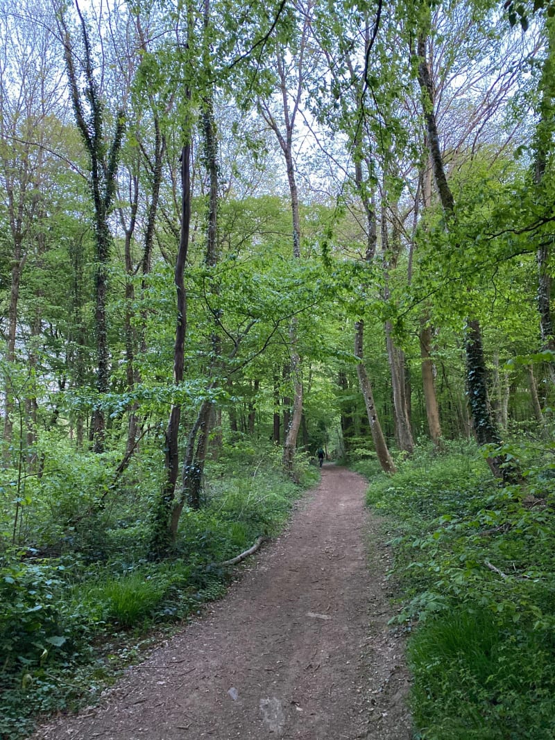 Rando dans les bois de Heumont vers Chenières - Réhon