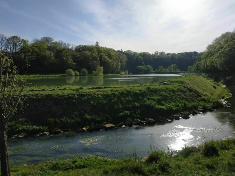 Plan d'eau de Briey - Briey