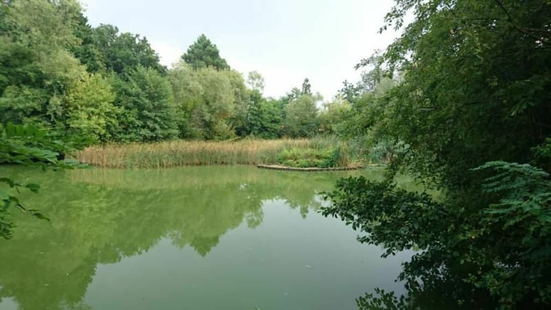 Wandeling in Pessac vanuit Bougnard - Pessac, Bordeaux
