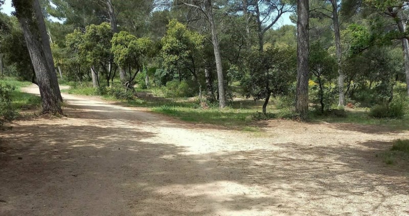 Au-dessus du Cirque de Borme à pied - Lamanon