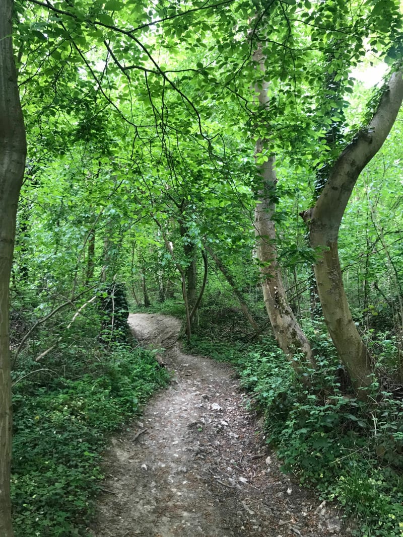 Joli parcours entre saint aubin Épinay et Franqueville - Saint-Aubin-Épinay