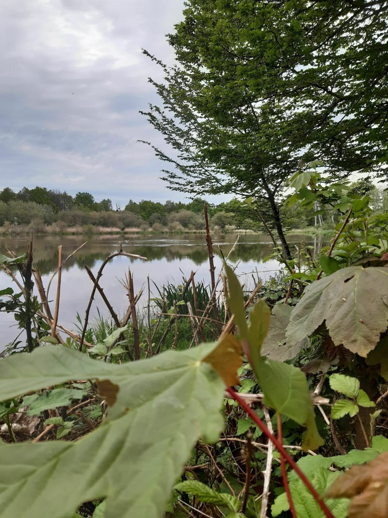 Balade entre Courmain et Beauval - Romorantin-Lanthenay