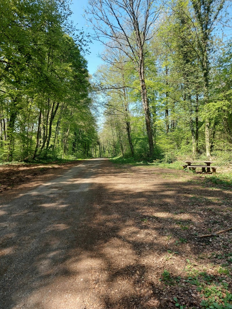 Ballade entre Saint-Pancré et Ville-Houdlémont - Ville-Houdlémont