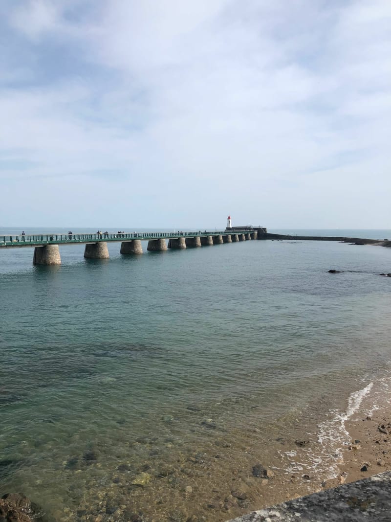 Des marais au phare - Olonne-sur-mer