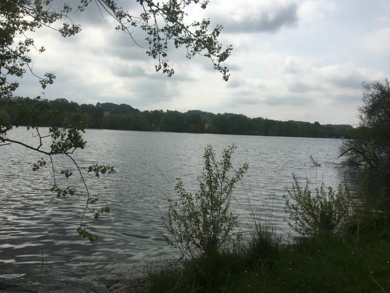 Tour du lac de Bassillon - Lembeye