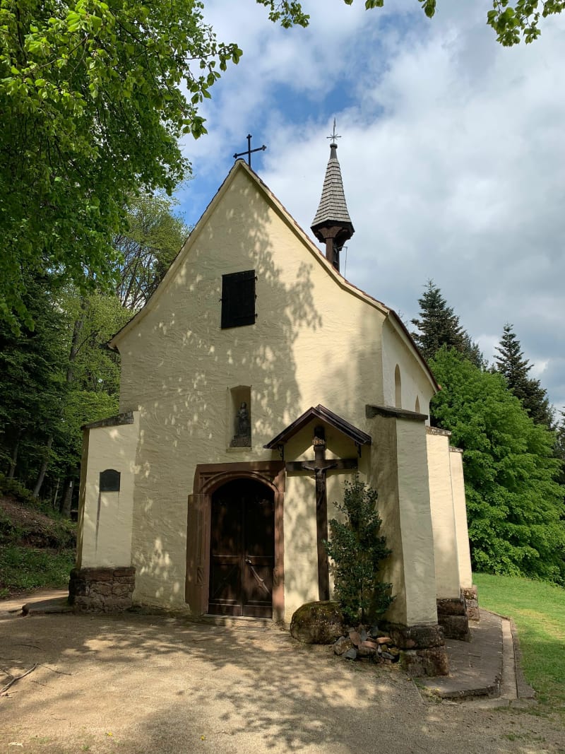 Petite boucle en forêt d’Ottersthal - Ottersthal