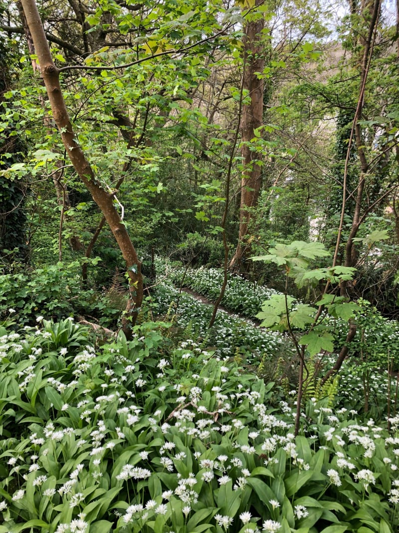 Eco-vallée de Crevecoeur-La Glacerie - La Glacerie