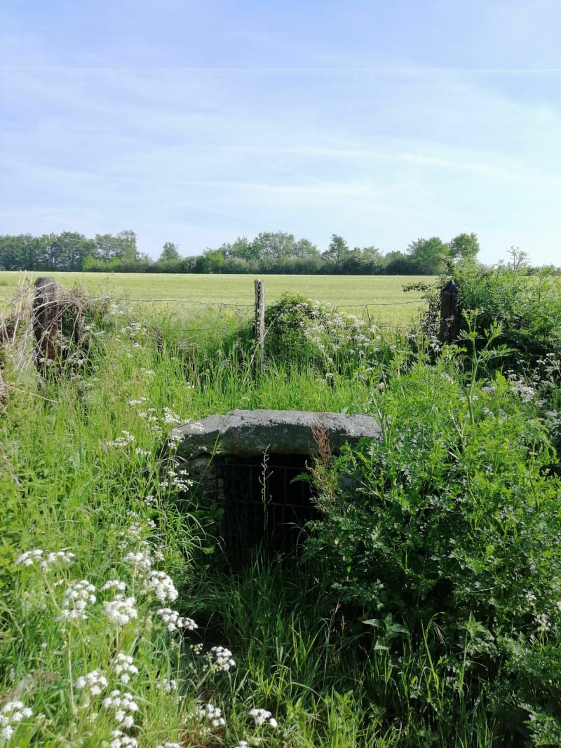 La Fontaine de Pissette - Aubigny-Les Clouzeaux
