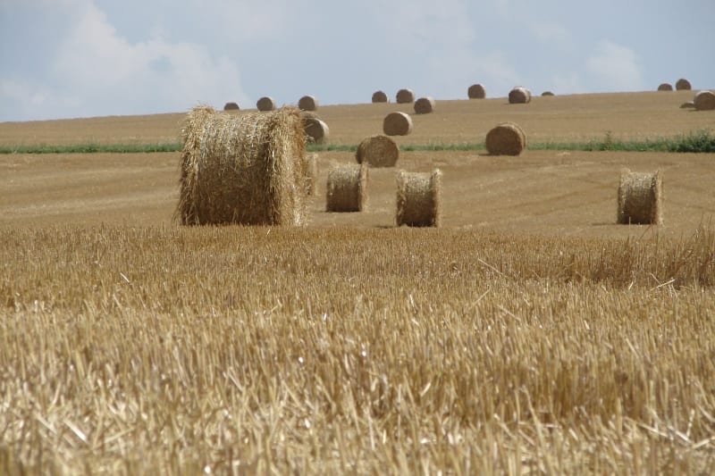 Promenade dans les champs - Villers-Outréaux