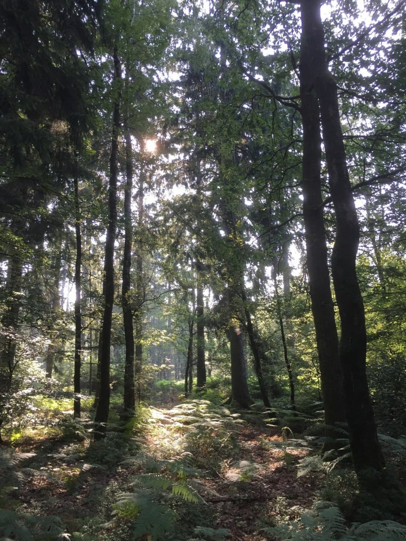 Natura Carolo - Charleville-Mézières