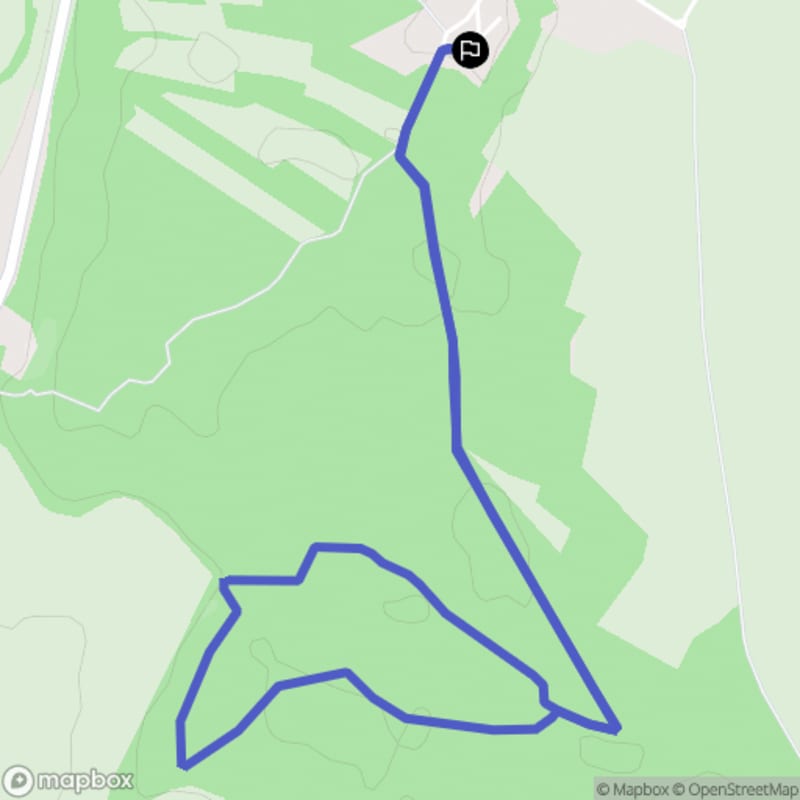 Balade en forêt de Chambléan - Garnay