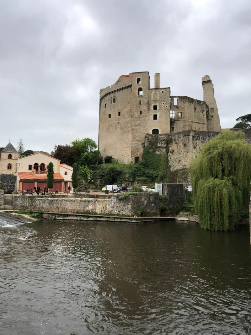Découverte des chemins et sentiers des bords de Sèvres et de Moine - Gétigné