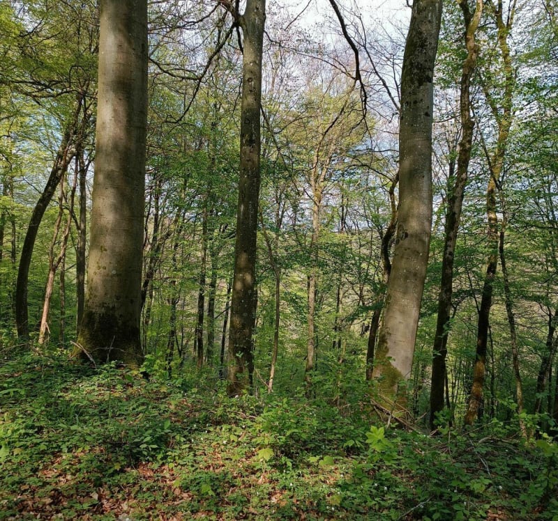 Sortie VTT sans difficulté - Mexy