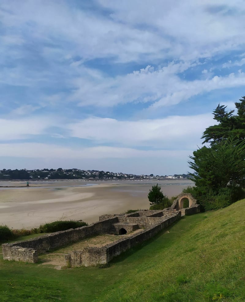 Le long de la côte de Plestin-les-Grèves - Plestin-les-Grèves