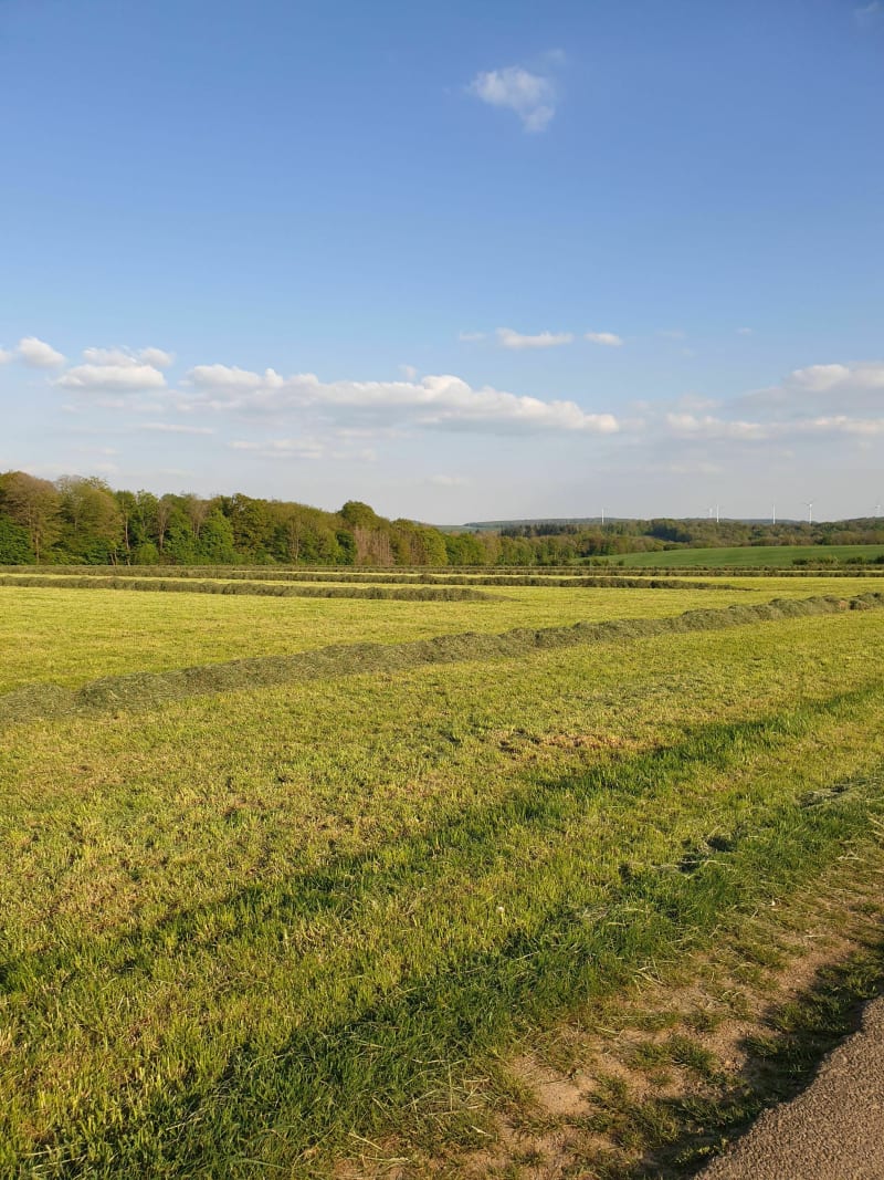 Balade autour des champs - Montigny-sur-Chiers
