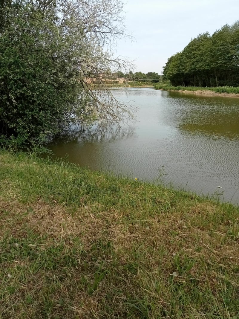 Balade les Rablais : tour de l'étang et le long du ruisseau - Saint-Hilaire-la-Forêt