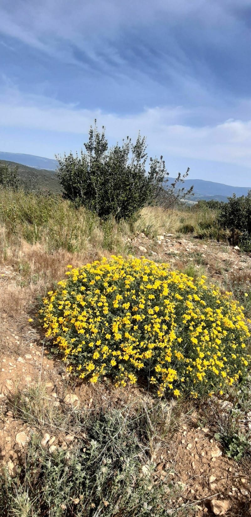 Marche dans le massif de la Chaîne des Côtes - Rognes