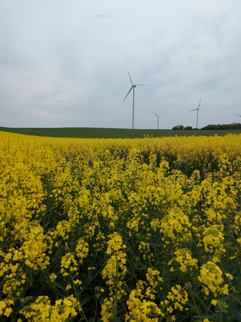 Bol d'air dans la nature - Cosnes-et-Romain
