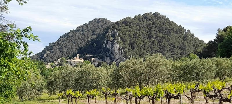 Randonnée Sablet, Séguret , ravin de Prébayon - Sablet
