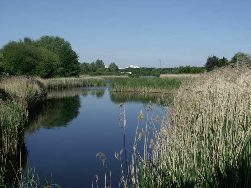 Coulée de Gennevilliers traversée du parc des sevines chante - Asnières-sur-Seine