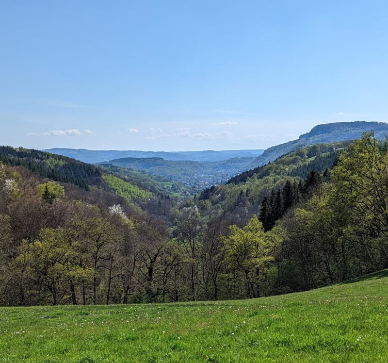 Incontournable lac de la Siauve et prairies de Lanobre - Lanobre