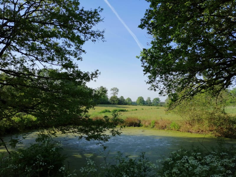 Sentier bucolique au départ de Mortevieille - Aubigny-Les Clouzeaux