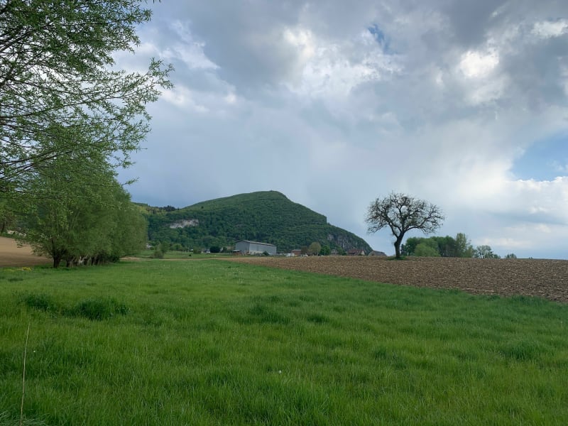 Bol d’air en campagne au pied de la Mandallaz - La Balme-de-Sillingy