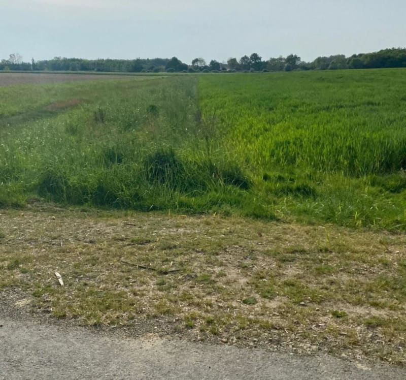 Balade à vélo en campagne - La Copechagnière