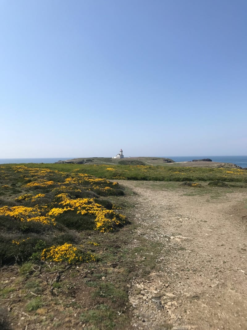 Balade à Belle-Île : Vauban - Les poulains - Sauzon