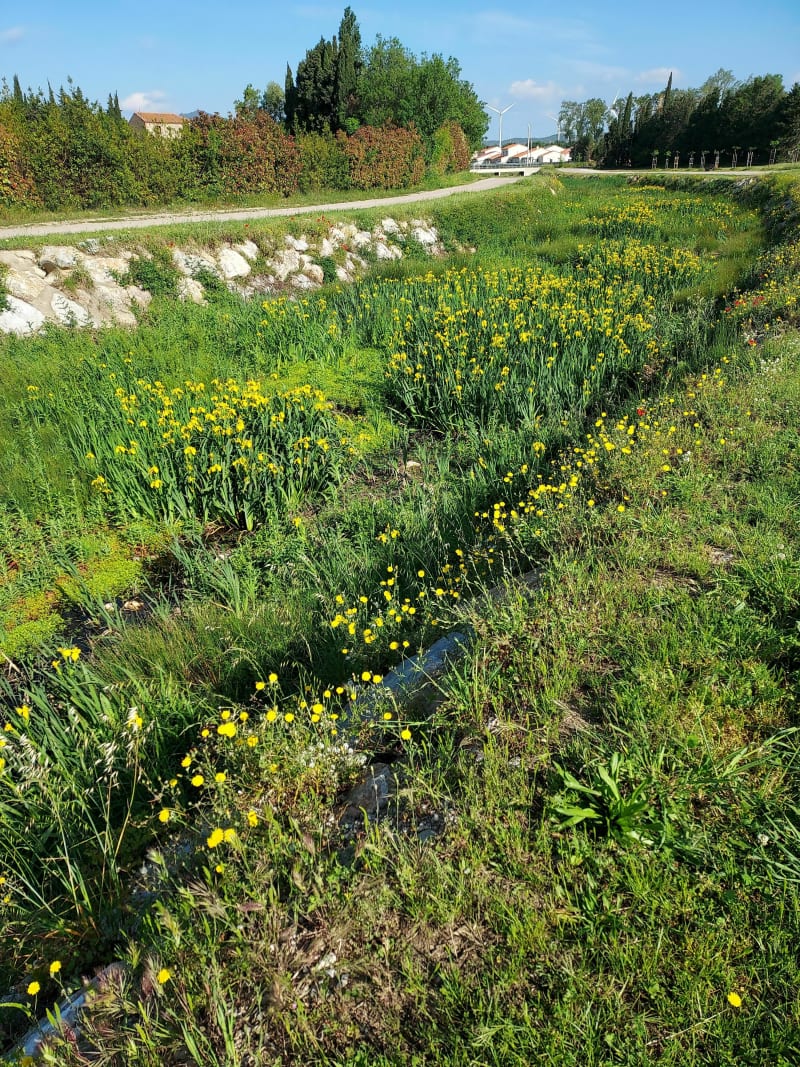 Promenade à Pézilla-la-Rivière - Pézilla-la-Rivière