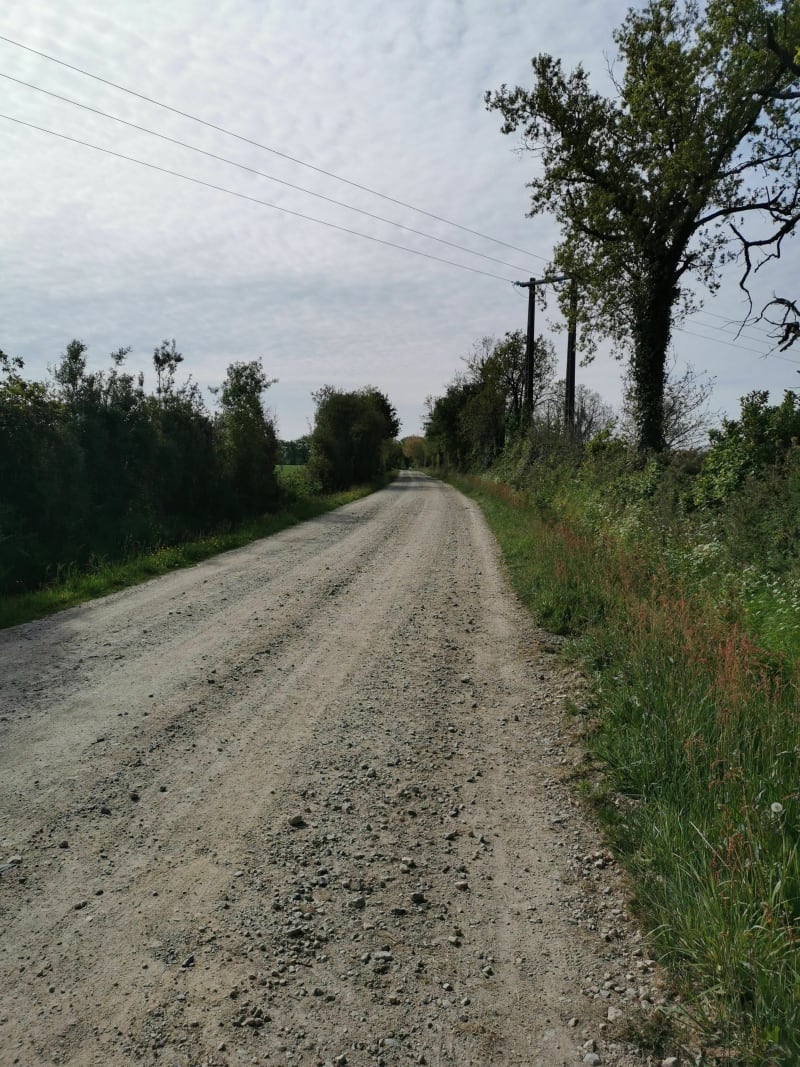 Un tour au Beignon Basset - Le Poiré-sur-Vie