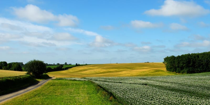 Randonnée du 1er mai à Pernes-Camblain - Camblain-Châtelain