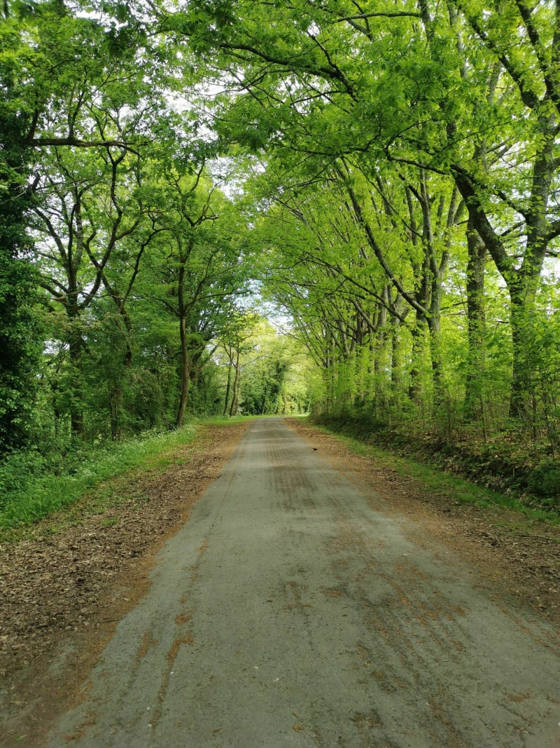 Balade Yonnaise à travers les Parcs - La Roche-sur-Yon