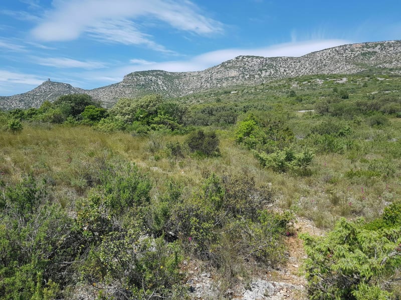 Case de Pène/Espira - Cases-de-Pène