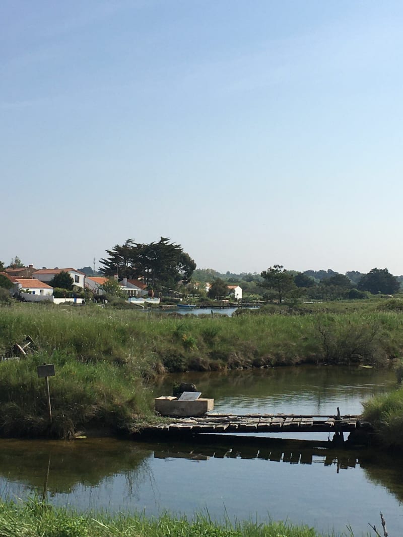 Balade à la gachère : le port de baleiniers et les marais - Brem sur Mer