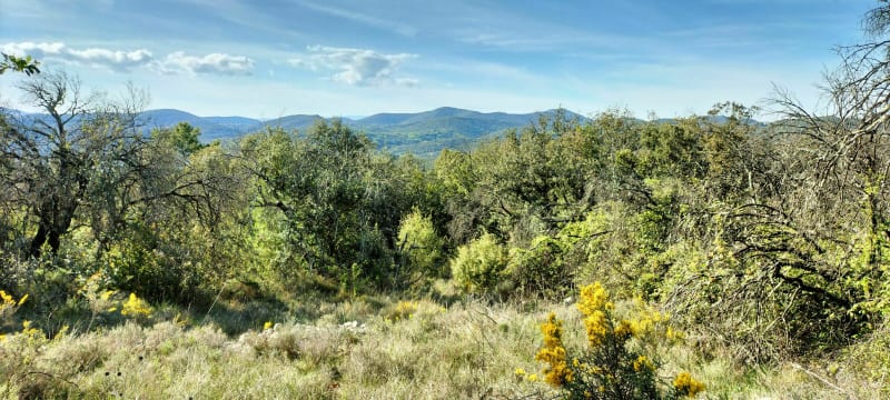 Balade dans les collines de Canabias-Rousson - salindres