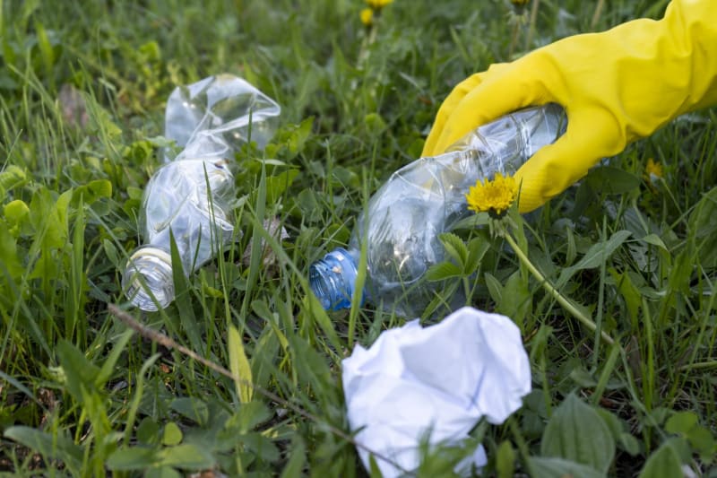 Eco rando au bord des champs à Montigny sur Chiers - Montigny-sur-Chiers