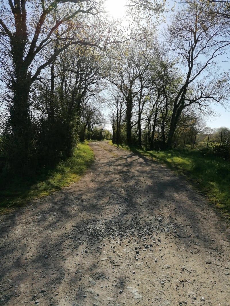 Pistes cyclables et chemins VTT autour de Montaigu - Montaigu