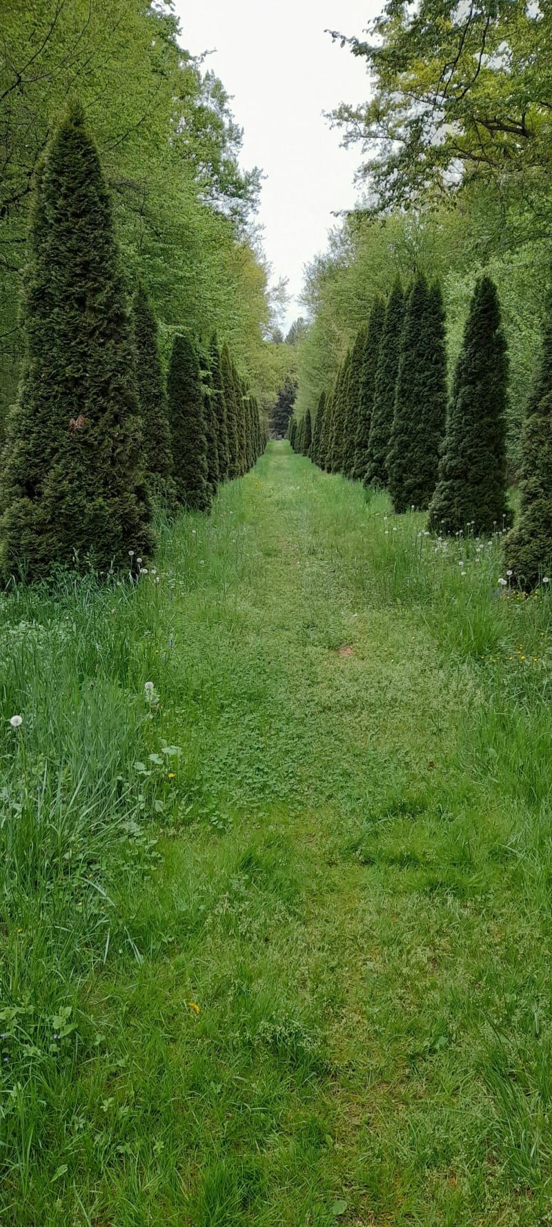 Du cimetière des pestiférés au lac de Noironte - Recologne