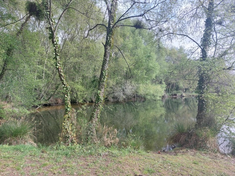 La nature de Saint-Renan et les deux Lacs - Saint-Renan