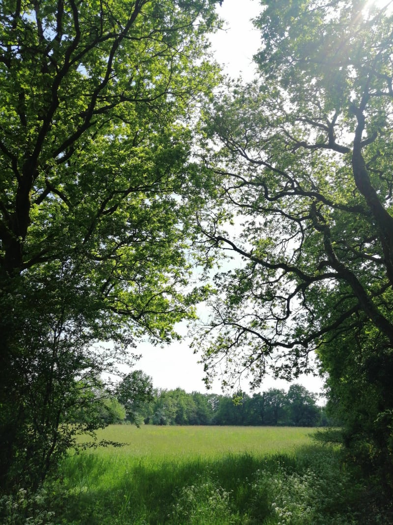 Petite Boucle en campagne - Aubigny-Les Clouzeaux